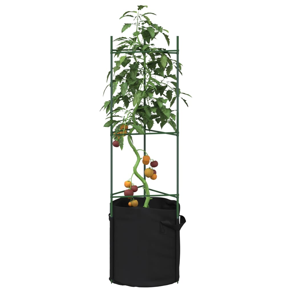 Tomatenkooien Met Plantenzak Staal En Polypropeen