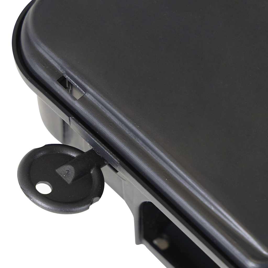 Muizenvallen 4 st 22x12,5x7,5 cm zwart