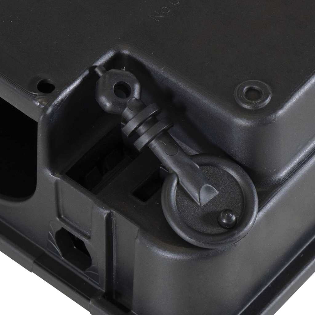 Muizenvallen 12 st 22x12,5x7,5 cm zwart