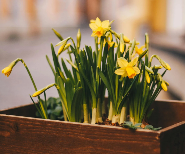 Woensdag 25 februari 19 graden in het zuiden, zo haal je alles uit deze eerste warme dag