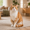 Kattenartikelen