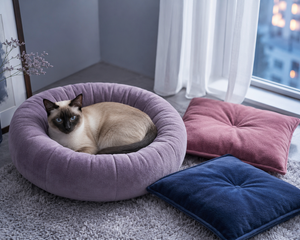 Collection image for: Kattenmanden & kussens