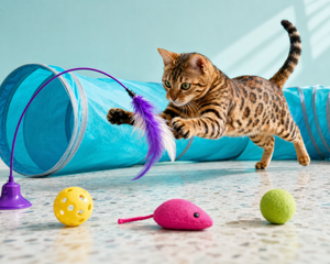 Collection image for: Kattenspeelgoed