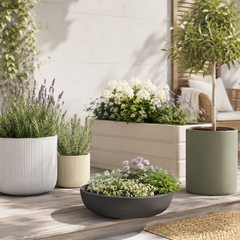 Collection image for: Bloempotten, plantenbakken en bloemenschalen