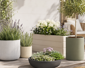 Collection image for: Bloempotten, plantenbakken en bloemenschalen