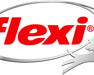 flexi logo