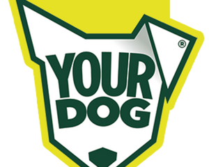 Yourdog logo