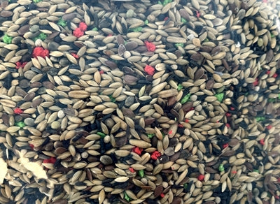 De Vries Zangzaad 2,5 Kg