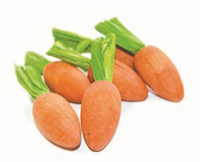 Critter's Choice Happy Pet Carrot Nibblers Knaaghout 8X3X3 Cm 6 St