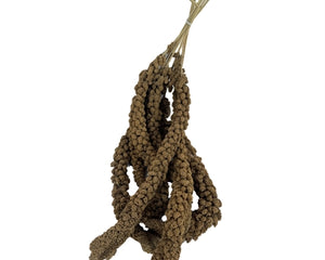 De Vries Trosgierst 1 Kg