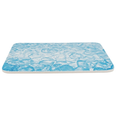 Trixie Koelplaat Voor Kleine Dieren Blauw 28X20 Cm