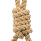 30X8X8 CM (392430)