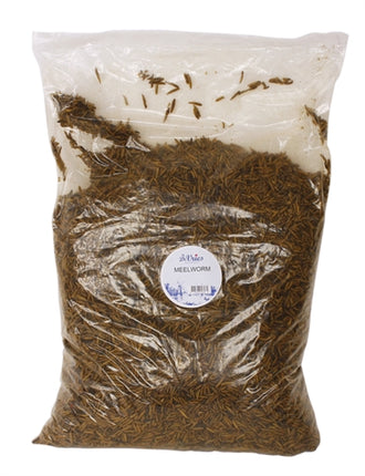 De Vries Meelworm Black Soldier Fly 120 Gr
