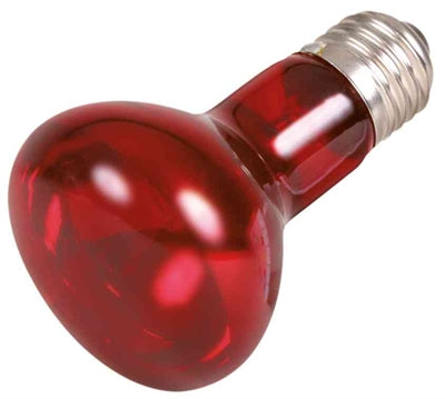 Trixie Reptiland Warmtelamp Infrarood 75 Watt 6,3X6,3X10 Cm
