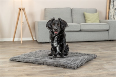 Trixie Ligmat Lonni Ribfluweel Grijs 90X65 Cm