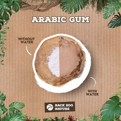 Back Zoo Nature Arabic Gum 50 Gr