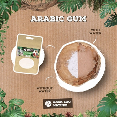 Back Zoo Nature Arabic Gum 50 Gr