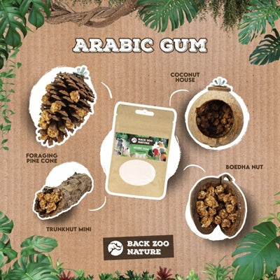 Back Zoo Nature Arabic Gum 50 Gr
