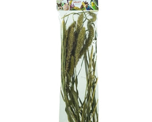 Back Zoo Nature Millet Setaria 30 Gr