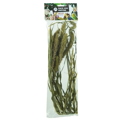 Back Zoo Nature Millet Setaria 30 Gr