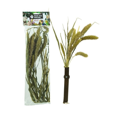 Back Zoo Nature Millet Setaria 30 Gr