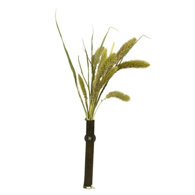 Back Zoo Nature Millet Setaria 30 Gr