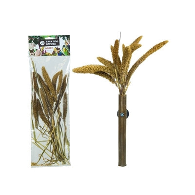 Back Zoo Nature Millet Setaria Italica 50 Gr