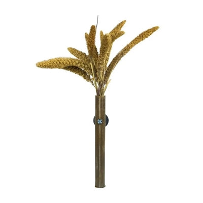 Back Zoo Nature Millet Setaria Italica 50 Gr