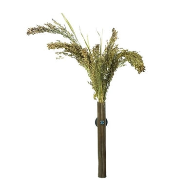 Back Zoo Nature Millet Panicum 40 Gr
