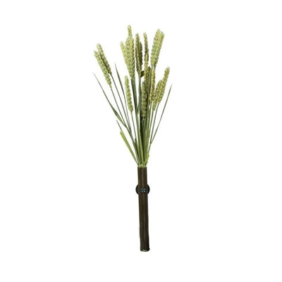 Back Zoo Nature Millet Tarwe 50 Gr