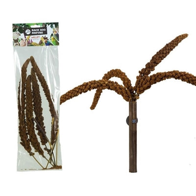 Back Zoo Nature Franse Trosgierst Rood 150 Gr