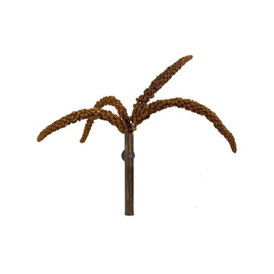 Back Zoo Nature Franse Trosgierst Rood 150 Gr
