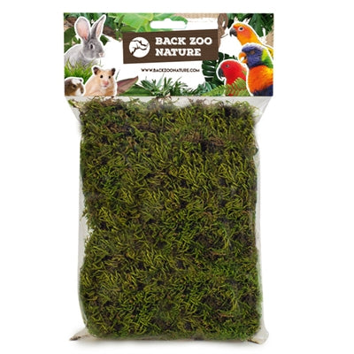 Back Zoo Nature Forest Moss 70 Gr