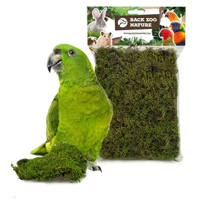 Back Zoo Nature Forest Moss 70 Gr