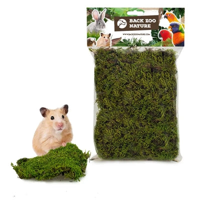 Back Zoo Nature Forest Moss 70 Gr