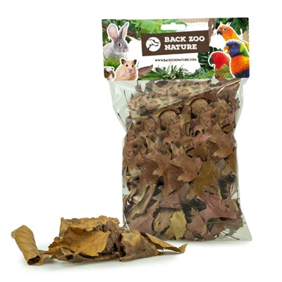 Back Zoo Nature Discovery Leaves Ca. 50 Gr