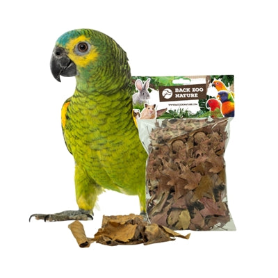 Back Zoo Nature Discovery Leaves Ca. 50 Gr