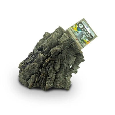Back Zoo Nature Corky Chew Medium Ca. 16X10 Cm