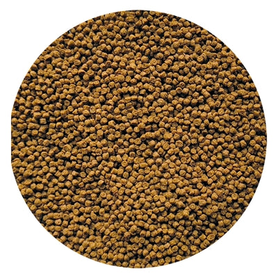 Utopia Goudviskorrel Drijvend 150 Ml