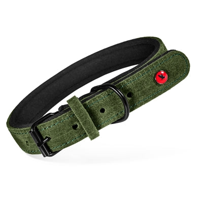 Zolux Expert Halsband Hond Premium Leer / Neopreen Groen 30X1,4 Cm