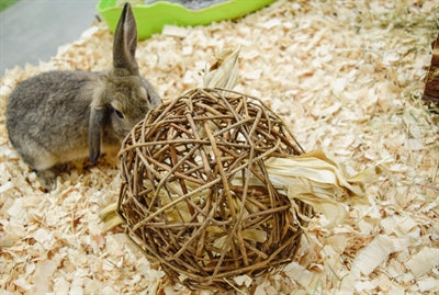 Nature First Happy Pet Speelbal Wilg Nature First 9,5X9,5X9,5 Cm