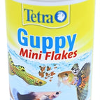 100 ML (6081)