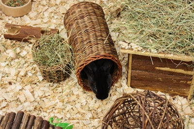 Happy Pet Wilgen Tunnel Large 32X15X15 Cm