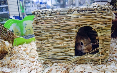 Nature First Happy Pet Grassy Hideaway Verstopplek Large 36X27X18 Cm