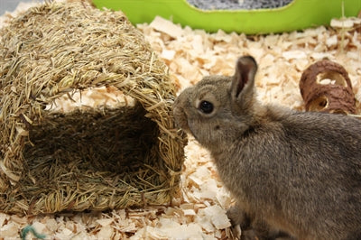 Happy Pet Grassy Tunnel 22X20X15 Cm