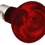 75 WATT (73895)