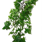 60 CM (73943)