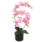 65 cm / Roze