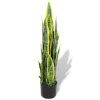 Sansevieria/90 cm