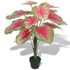 caladium / 85 cm